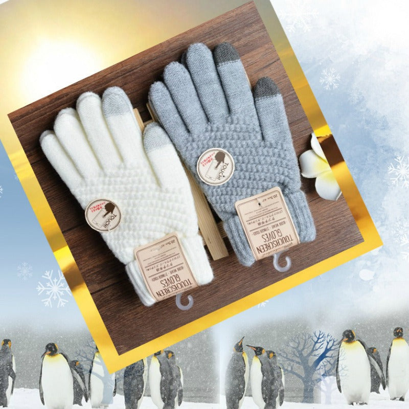 Women's jacquard touch screen warm and fashionable winter woolen gloves with imitation cashmere knitted gloves